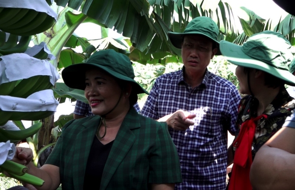 Chủ tịch UBND tỉnh Bình Phước thăm mô hình kinh tế nông nghiệp công nghệ cao tại huyện Bù Đốp