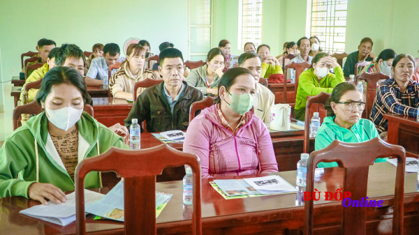 Bù Đốp: Tập huấn chuyển giao kỹ thuật chăn nuôi bò giống sinh sản cho hộ nghèo